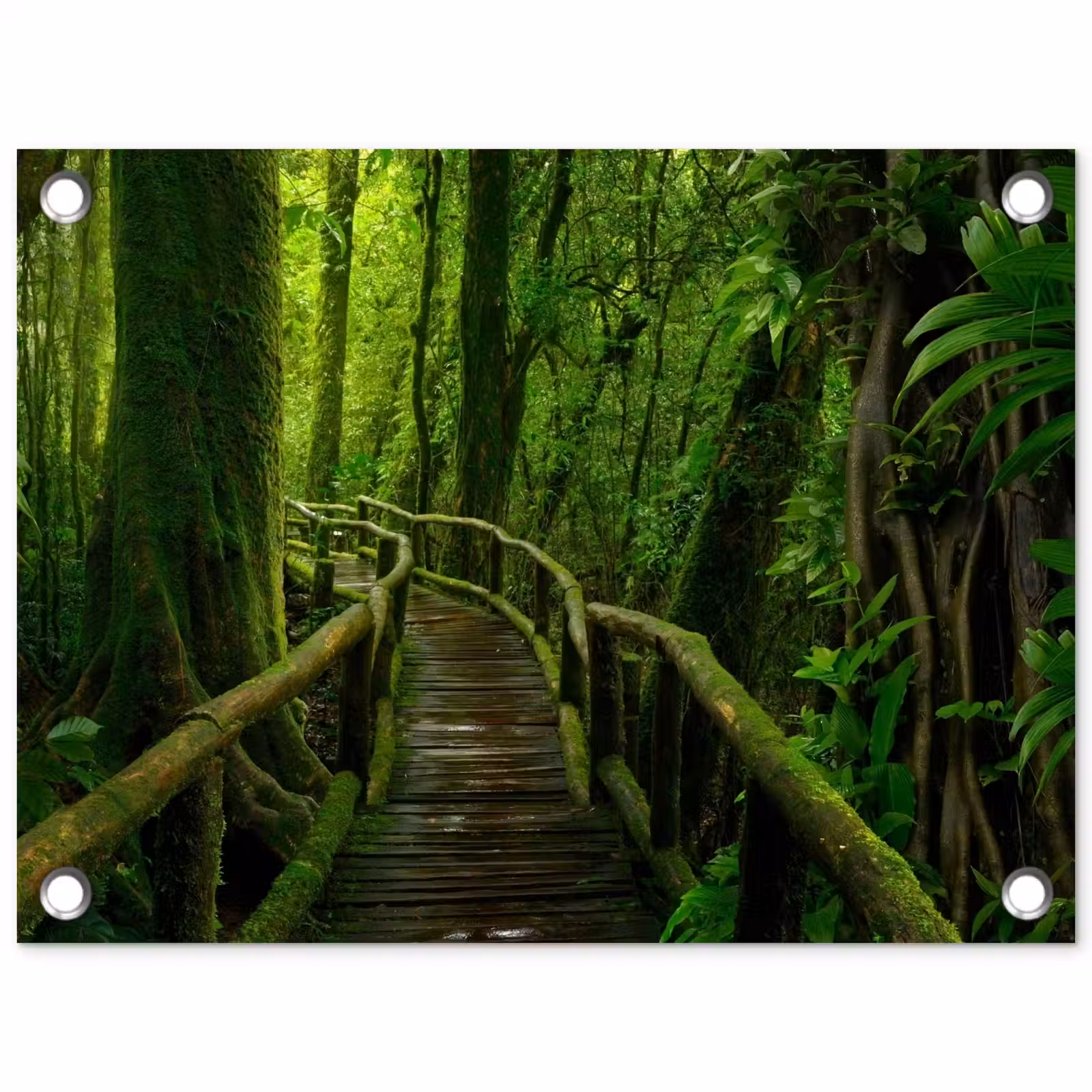 Tuinposter - Groene Oase van Rust — 1