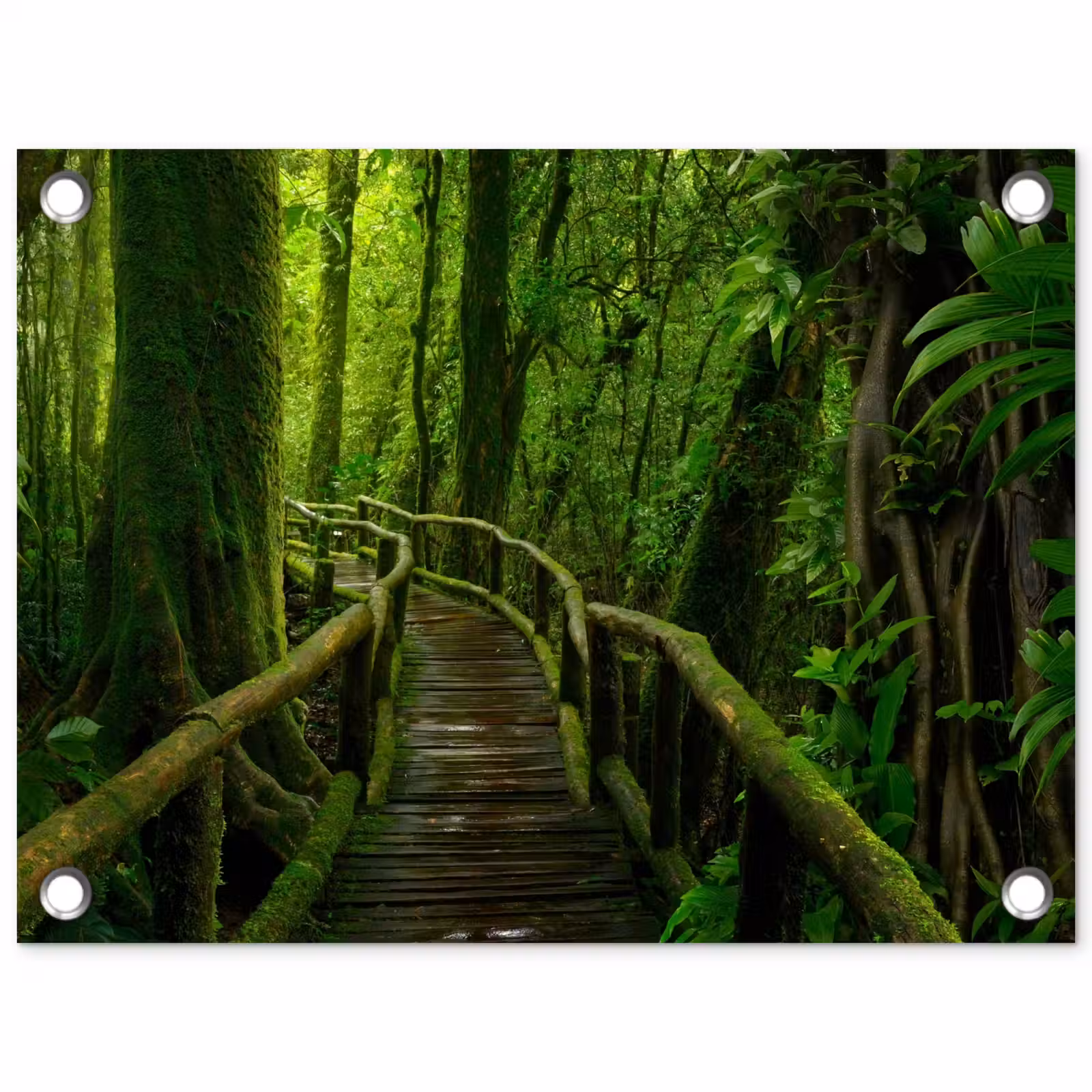 Tuinposter - Jungle - Brug - Mos - Natuur - Tropisch — 1