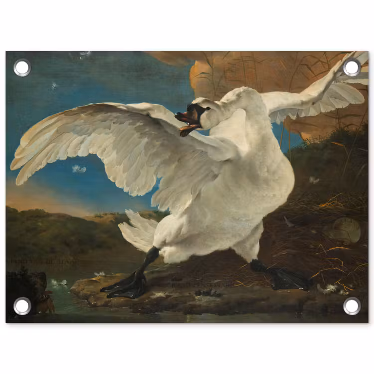 Tuinposter - De bedreigde zwaan - Schilderij van Jan Asselijn — 1