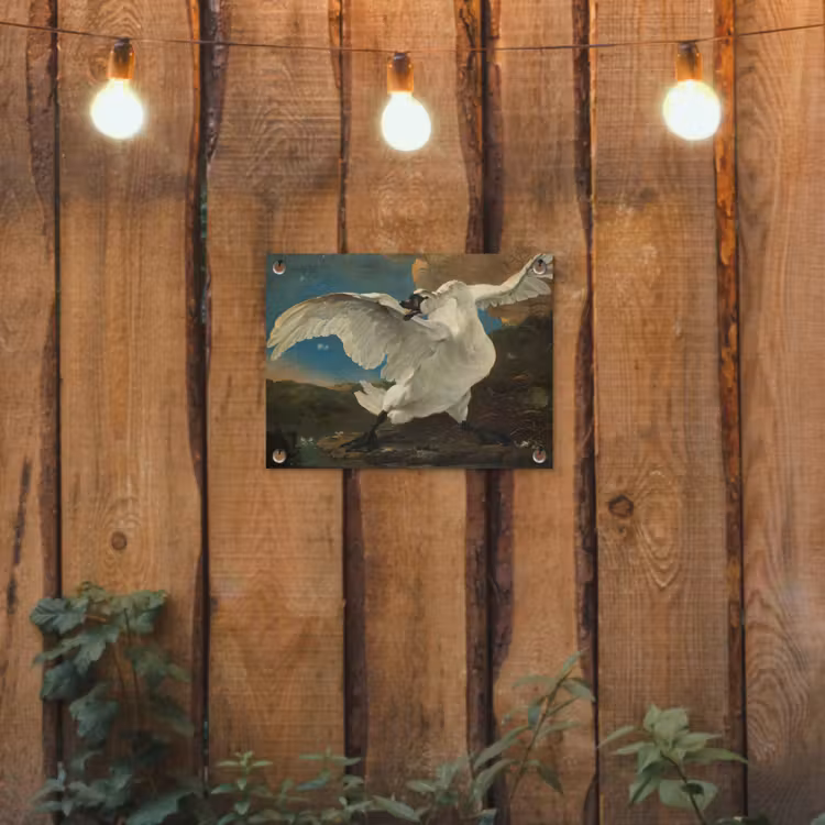 Tuinposter - De bedreigde zwaan - Schilderij van Jan Asselijn — 2