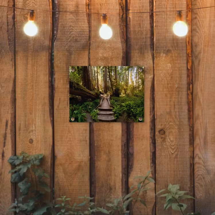 Tuinposter - Jungle - Natuur - Trap - Bomen — 2