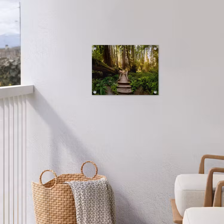 Tuinposter - Jungle - Natuur - Trap - Bomen — 3