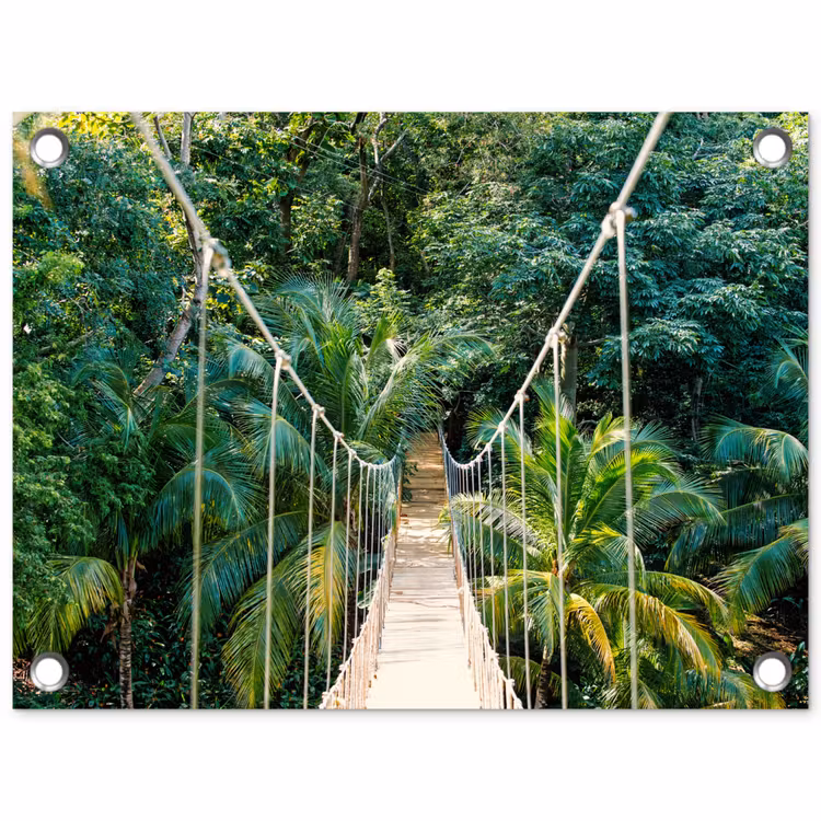 Tuinposter - Jungle - Palmboom - Brug - Natuur - Planten — 1