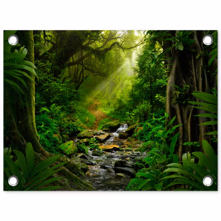 Tuinposter - Jungle - Water - Bladeren - Zon - Natuur — 1