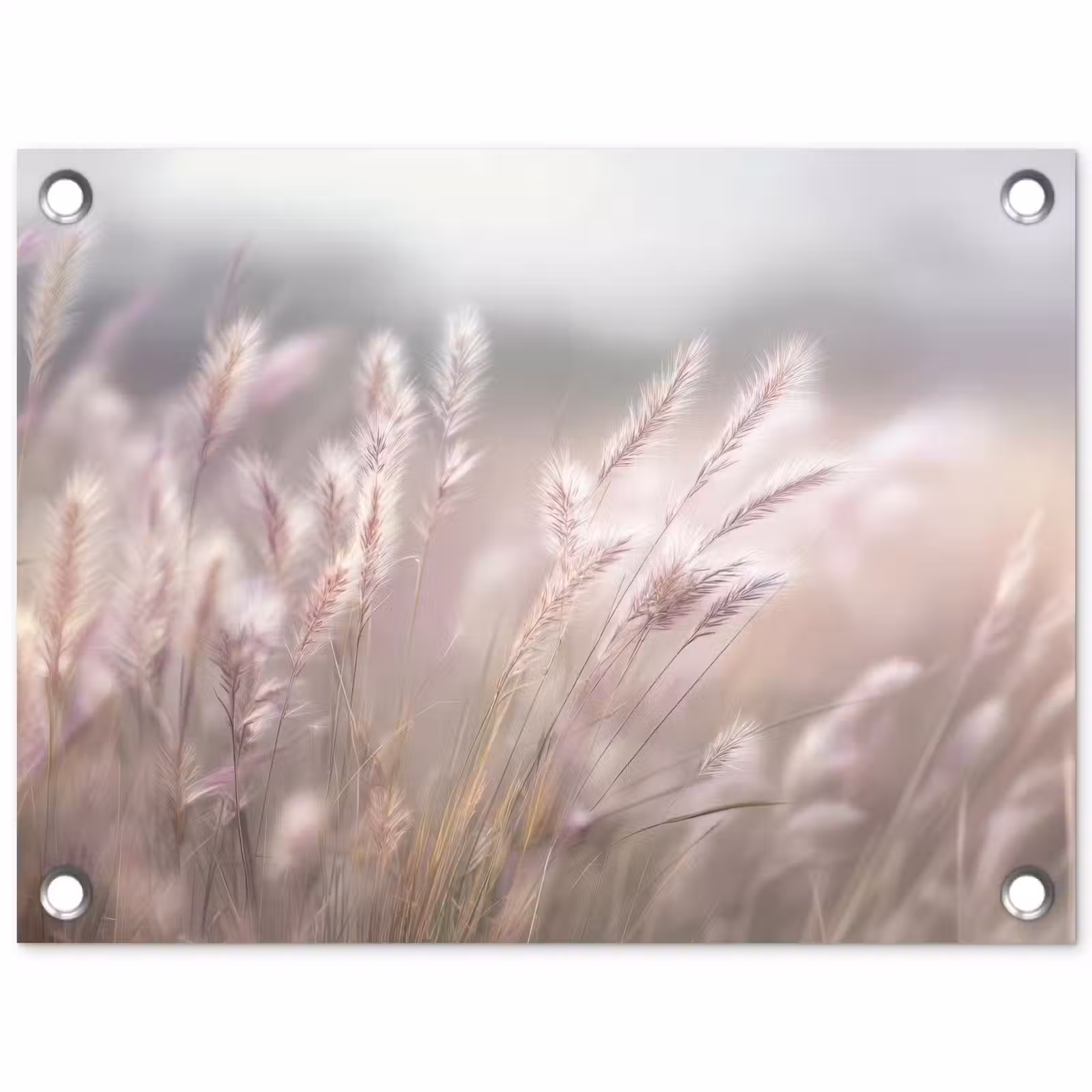 Tuinposter - Graspluimen - Wind - Beige - Mistig — 1