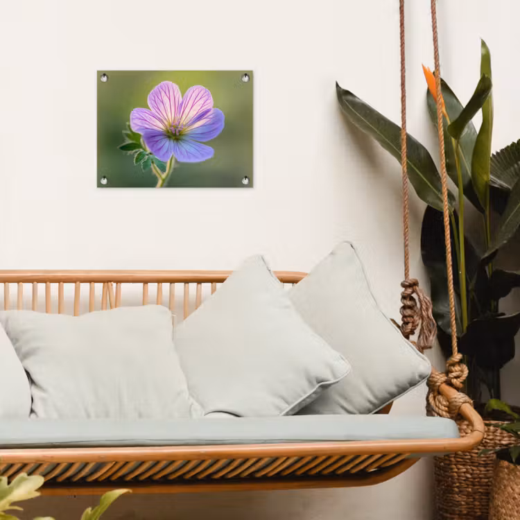 Tuinposter - Bloem - Close up - Paars — 5