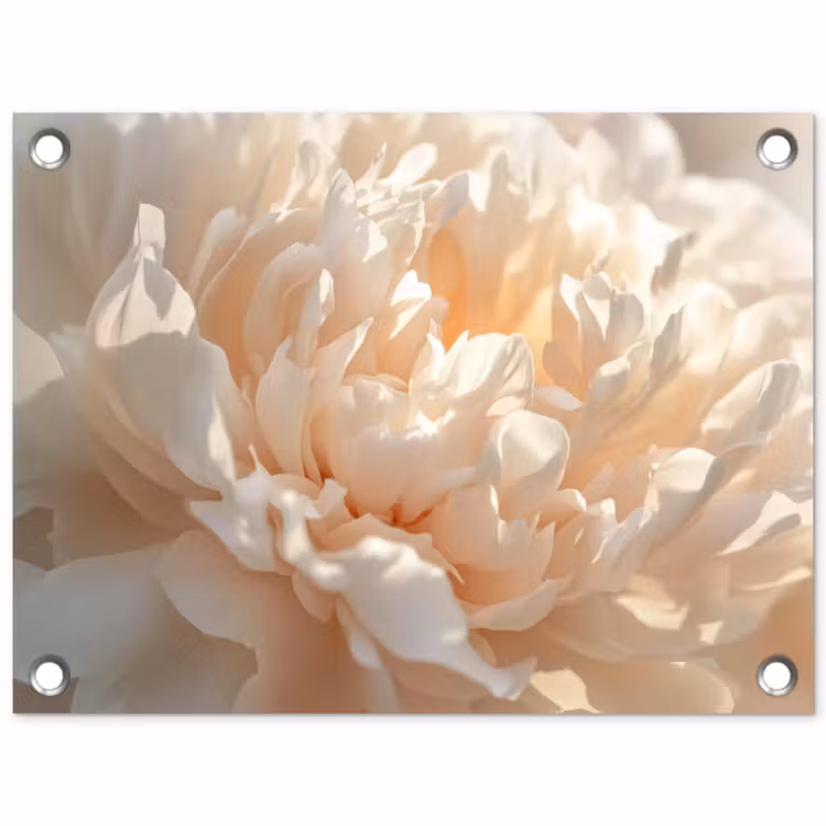 Tuinposter - Close up - Pioenroos - Lichtroze — 1