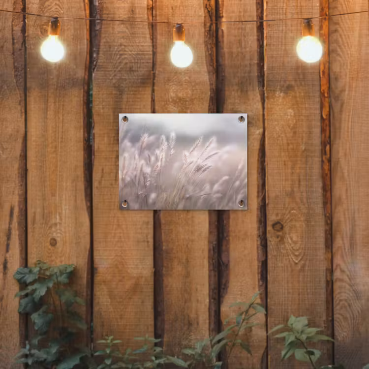 Tuinposter - Graspluimen - Wind - Beige - Mistig — 2