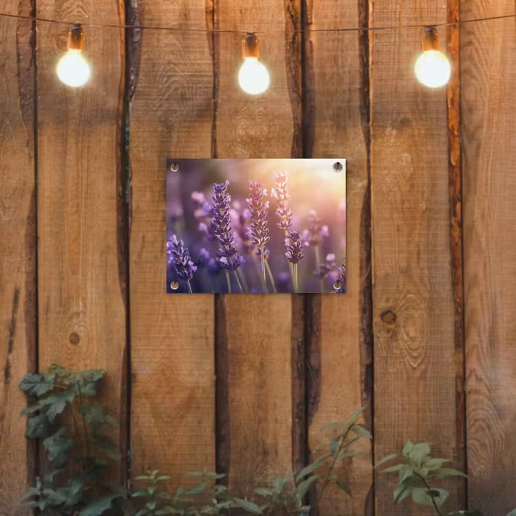 Tuinposter - Lavendelbloemen - Paars - Zonlicht — 2