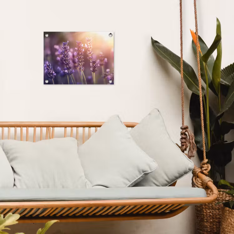 Tuinposter - Lavendelbloemen - Paars - Zonlicht — 5
