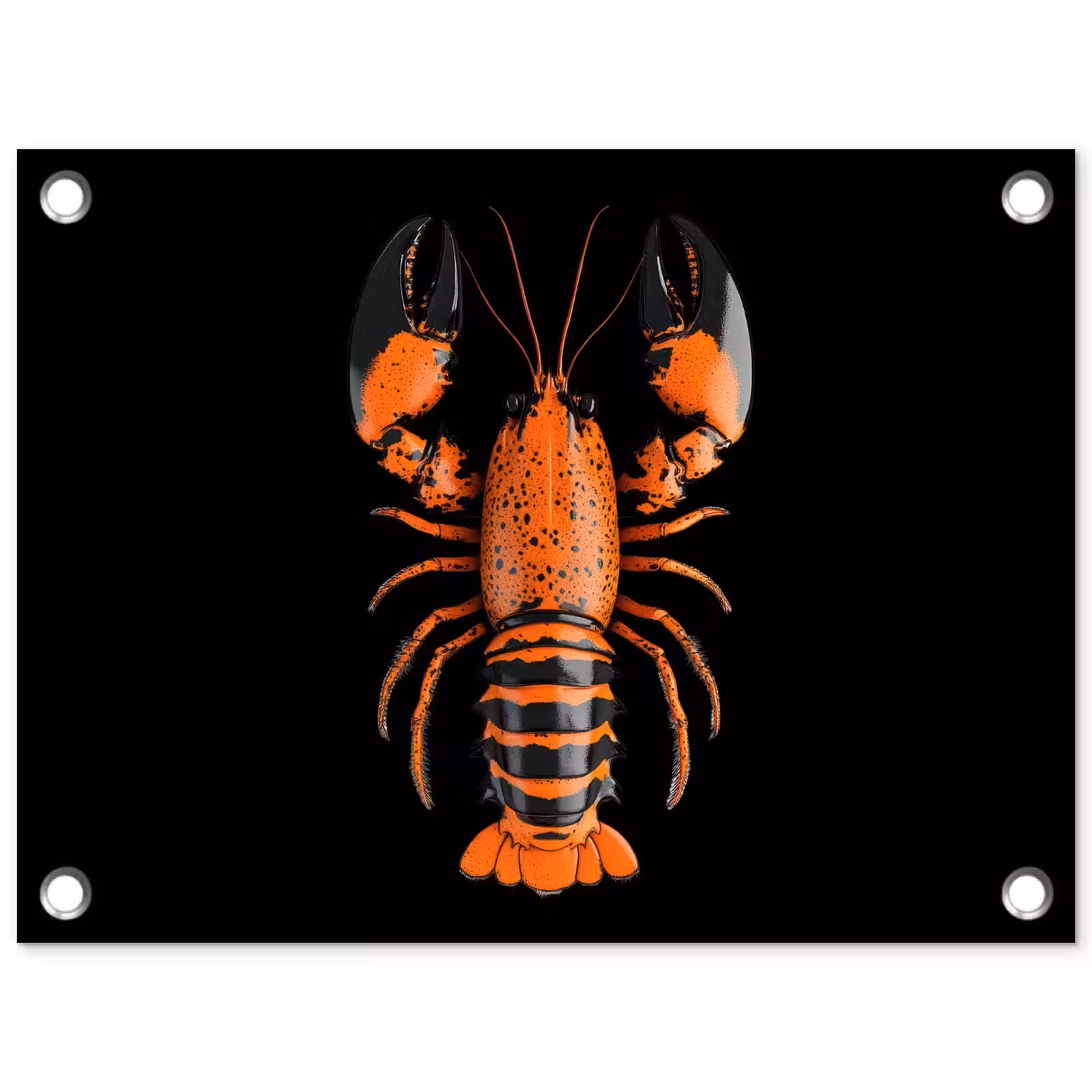 Tuinposter - Kreeft - Oranje - Zwart - Modern — 1