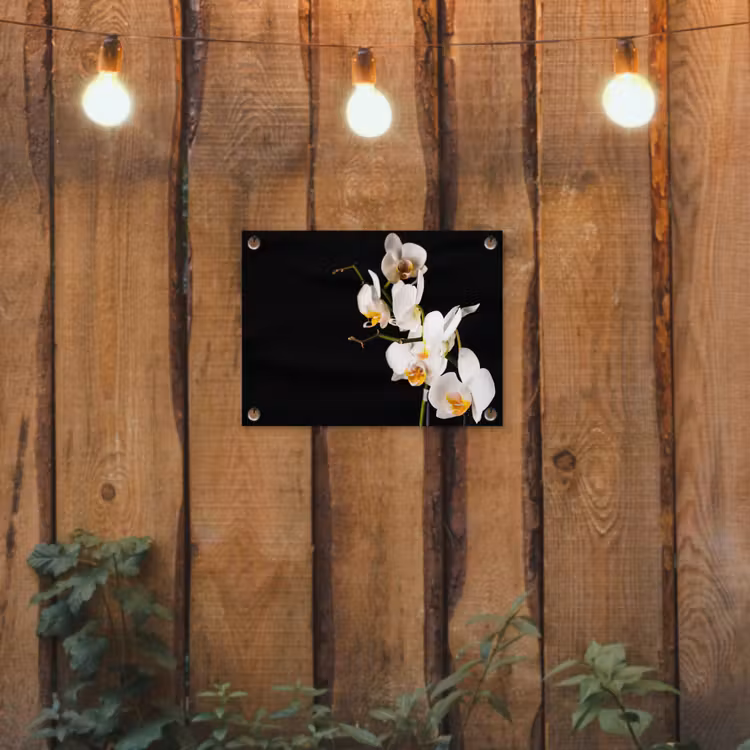 Tuinposter - Orchidee - Bloemen - Planten - Botanisch — 2