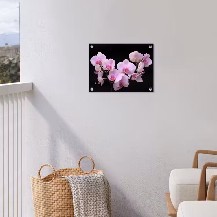 Tuinposter - Orchidee - Bloemen - Roze - Flora — 3