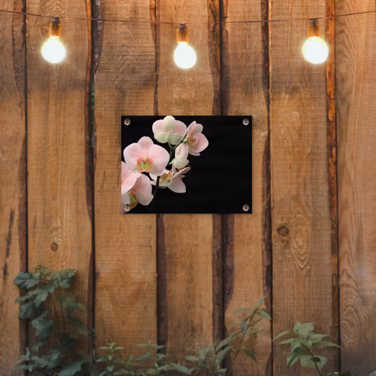 Tuinposter - Orchidee - Bloemen - Roze - Stilleven - Flora — 2