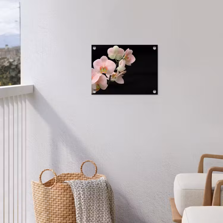 Tuinposter - Orchidee - Bloemen - Roze - Stilleven - Flora — 3