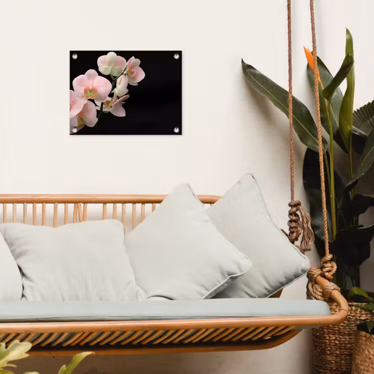 Tuinposter - Orchidee - Bloemen - Roze - Stilleven - Flora — 5