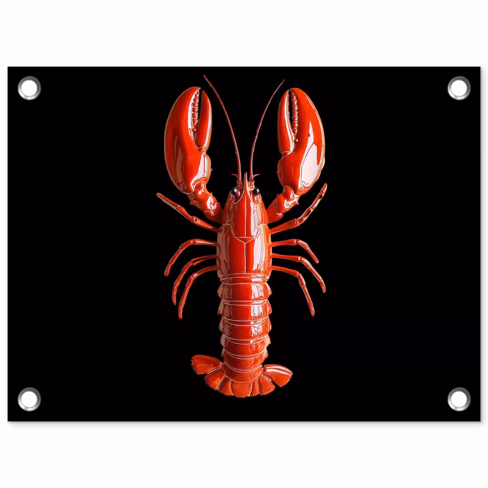 Tuinposter - Kreeft - Glossier Rood - Zwart — 1