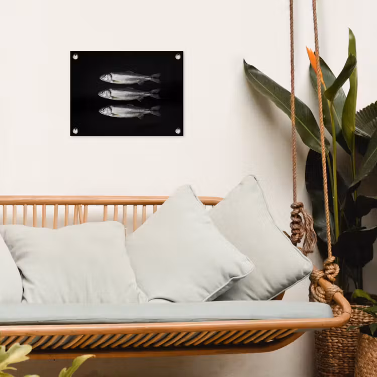 Tuinposter - Haring - Vissen - Zwart — 5
