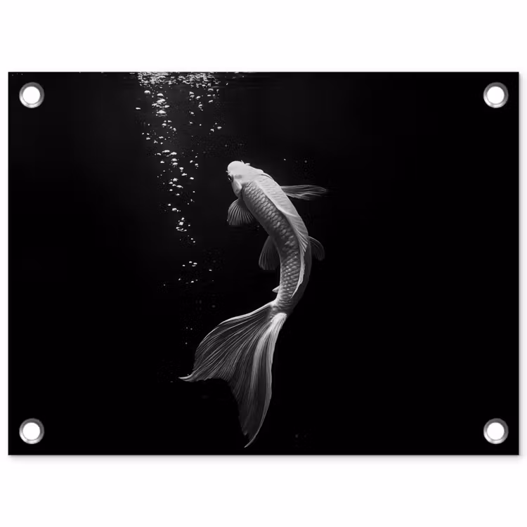 Tuinposter - Koi - Vis - Wit - Zwart — 1