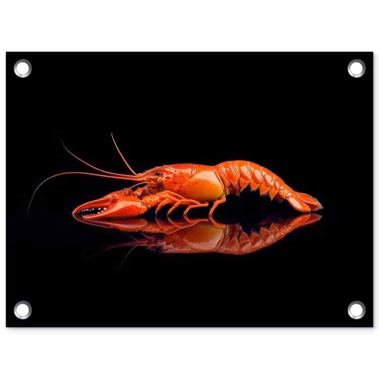 Tuinposter - Kreeft - Oranje - Zwart - Opvallend — 1