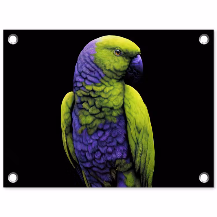 Tuinposter - Papegaai - Veren - Opvallend - Groen — 1