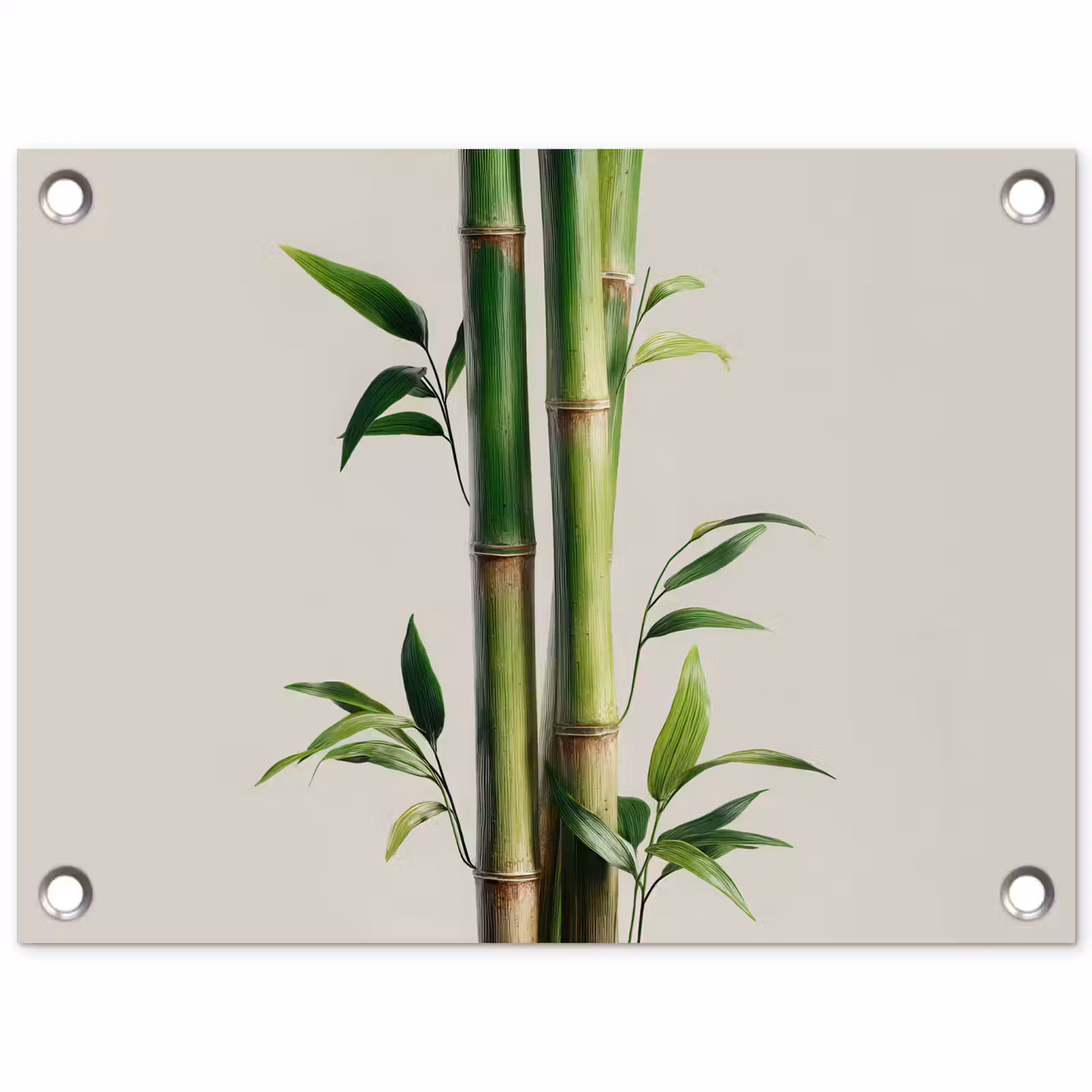 Tuinposter - Bamboestengels - Sierlijk - Groen — 1