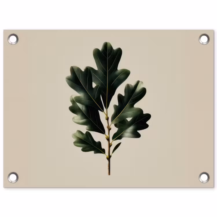 Tuinposter - Eikenbladeren - Beige - Groen - Golvende randen — 1