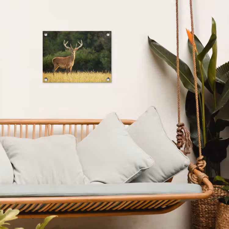 Tuinposter - Hert - Gewei - Gras - Natuur - Dieren - Groen — 5