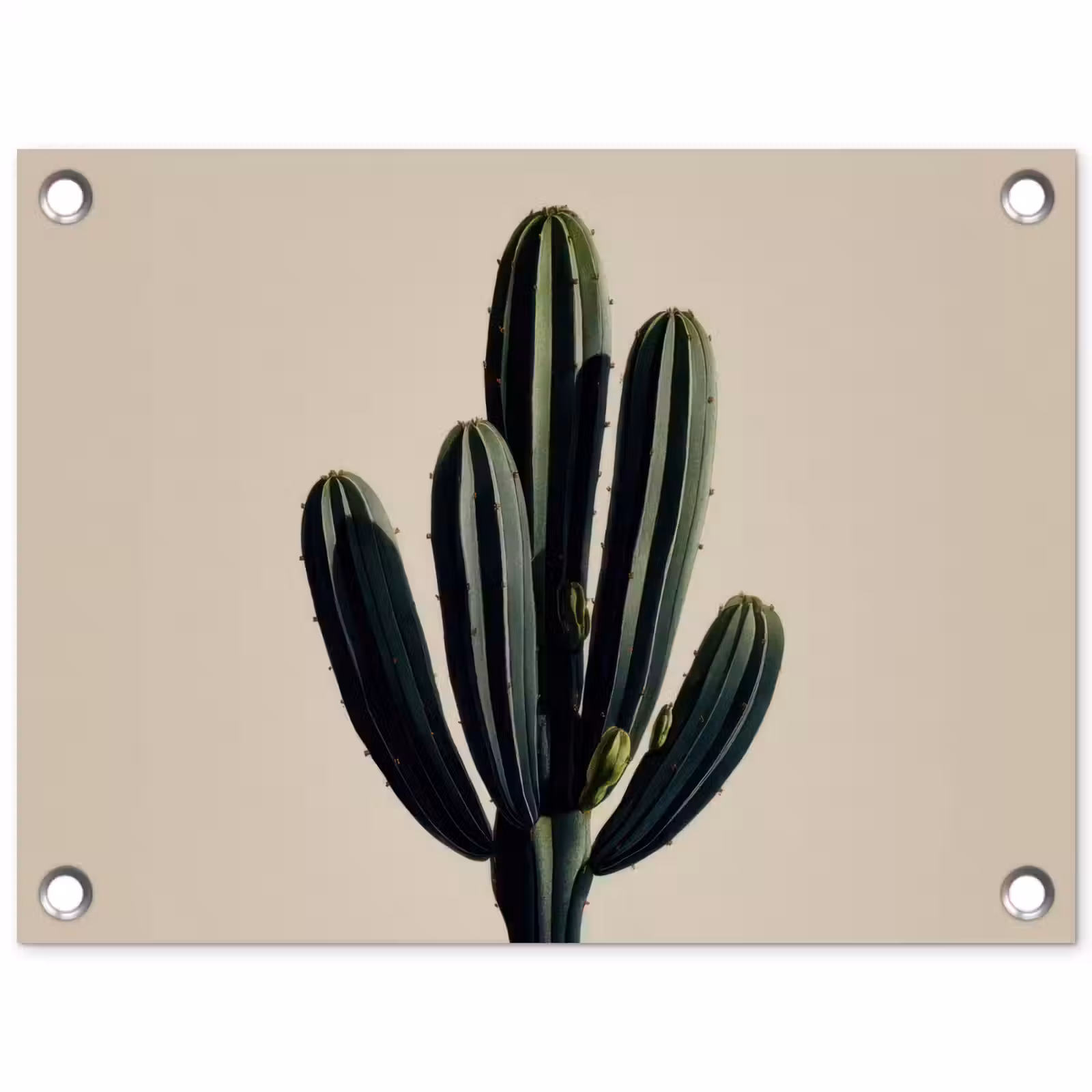 Tuinposter - Cactus - Subtiel - Groen — 1
