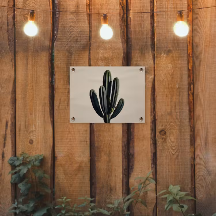 Tuinposter - Cactus - Subtiel - Groen — 2