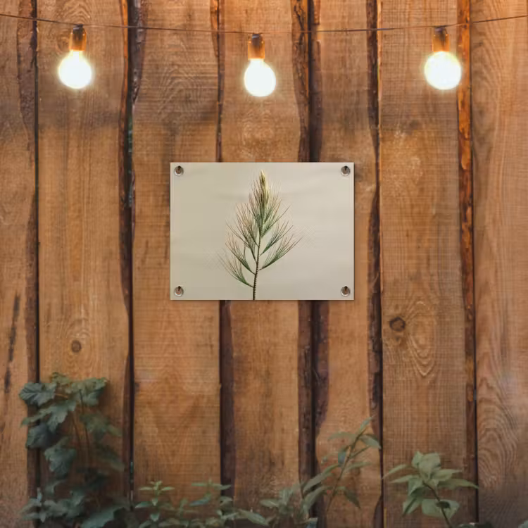 Tuinposter - Dennentak - Naaldvormige bladeren - Lichtgroen — 2