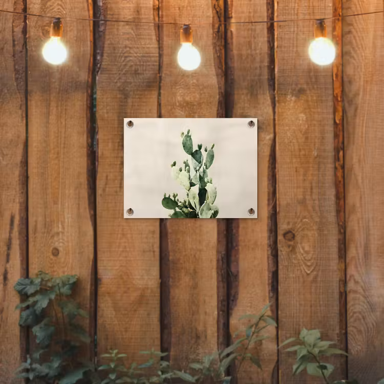 Tuinposter - Cactus - Groen - Minimalistisch — 2