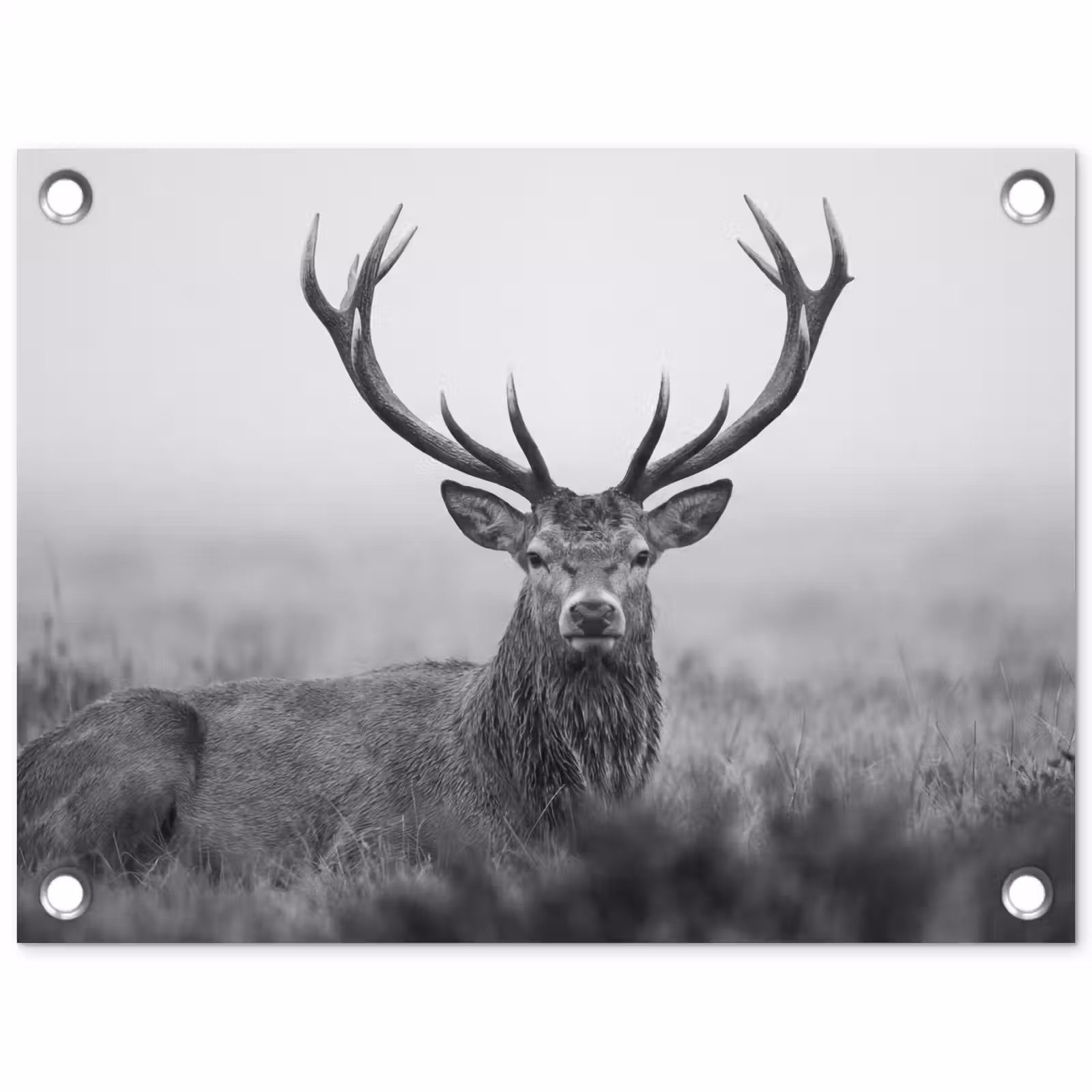 Tuinposter - Hert - Mistig - Zwart - Wit — 1