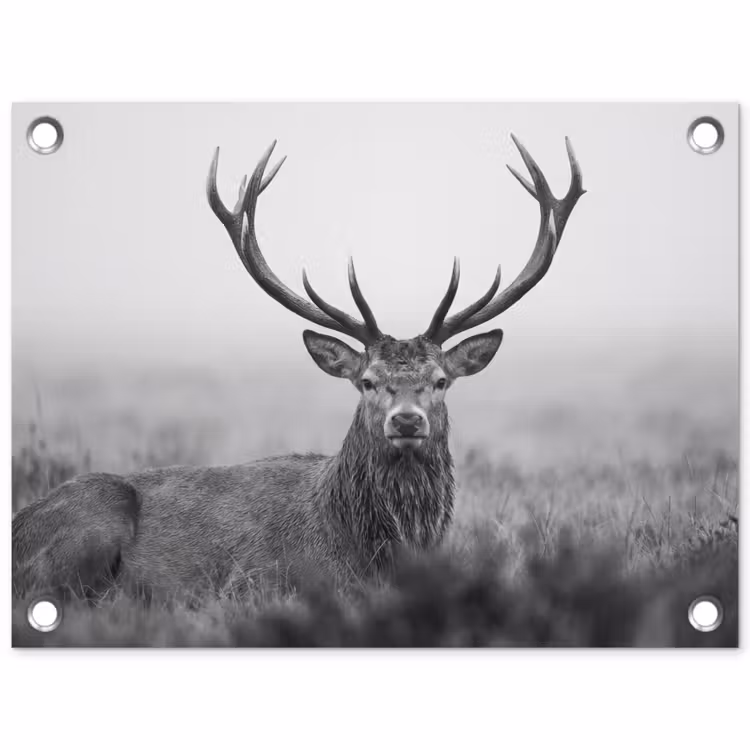 Tuinposter - Hert - Mistig - Zwart - Wit — 1