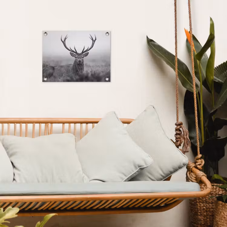 Tuinposter - Hert - Mistig - Zwart - Wit — 5