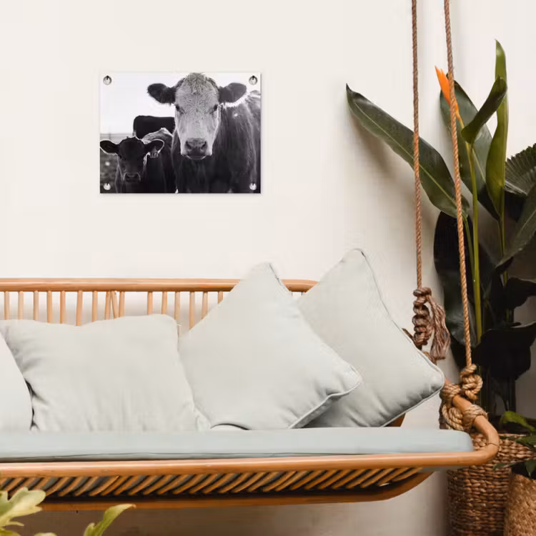 Tuinposter - Koeien - Zwart - Wit — 5