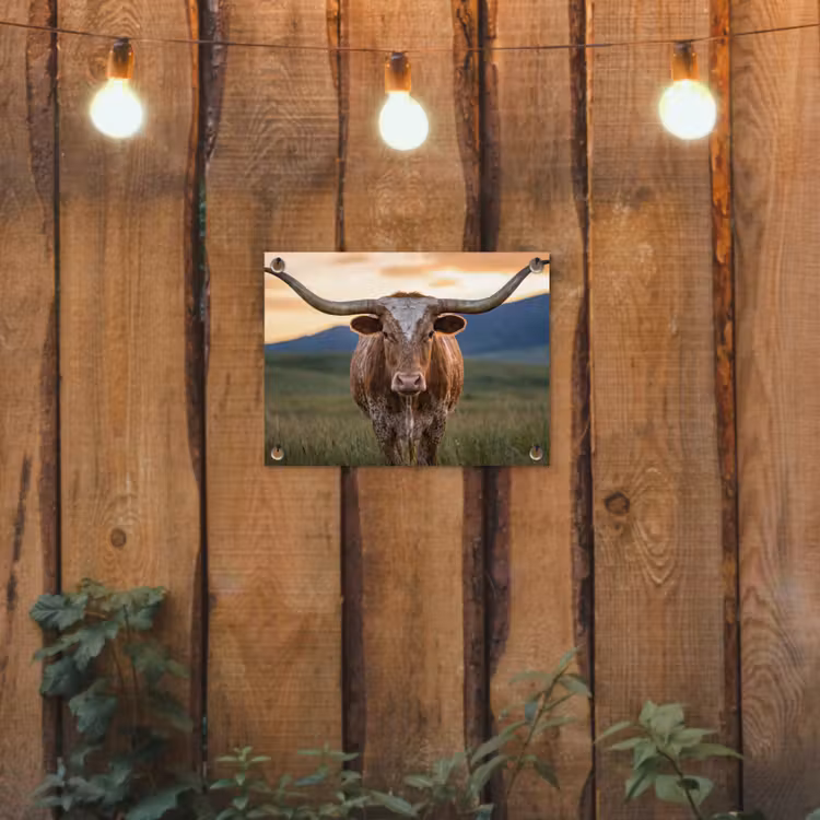 Tuinposter - Longhorn - Landschap - Zonsondergang — 2