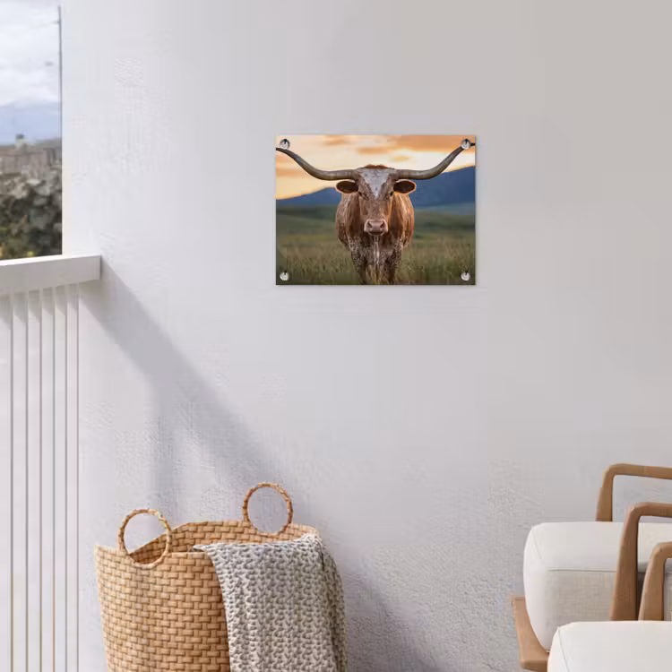 Tuinposter - Longhorn - Landschap - Zonsondergang — 3