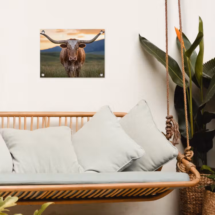 Tuinposter - Longhorn - Landschap - Zonsondergang — 5