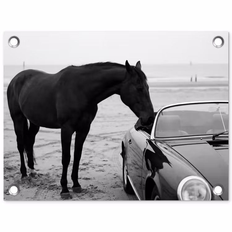 Tuinposter - Paard - Auto - Zwart - Wit — 1