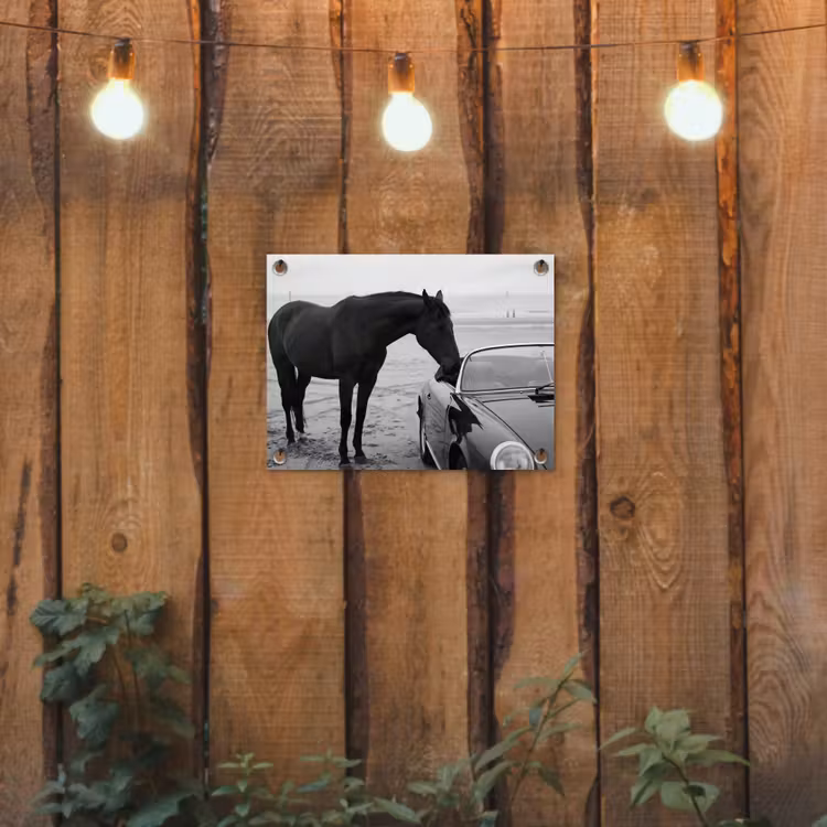 Tuinposter - Paard - Auto - Zwart - Wit — 2