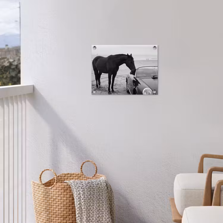 Tuinposter - Paard - Auto - Zwart - Wit — 3
