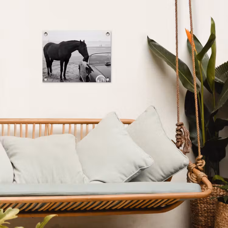 Tuinposter - Paard - Auto - Zwart - Wit — 5