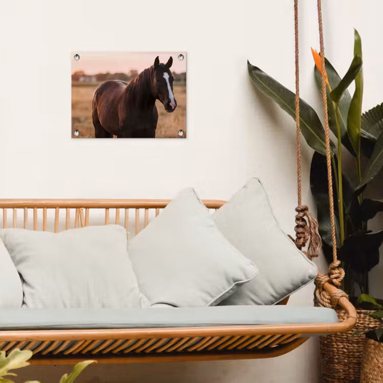 Tuinposter - Paard - Zonsondergang - Bruin — 5