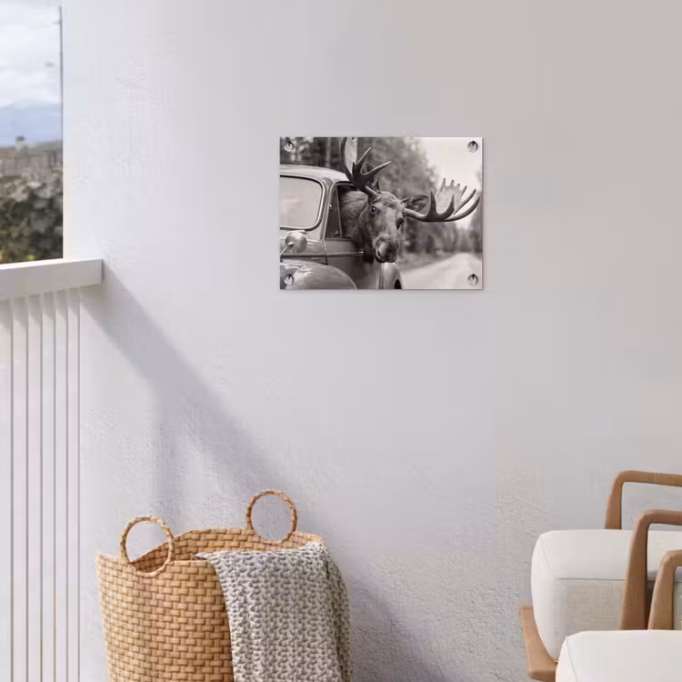Tuinposter - Eland - Auto - Gewei - Zwart - Wit — 3
