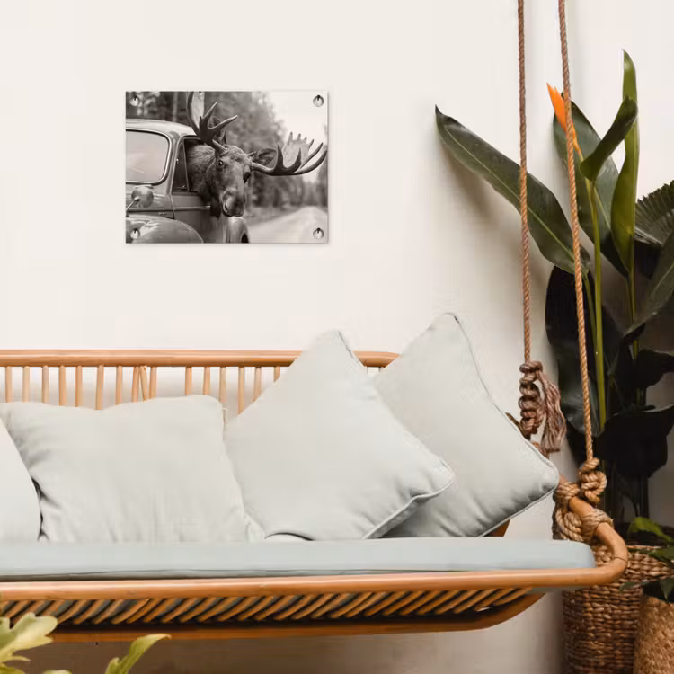Tuinposter - Eland - Auto - Gewei - Zwart - Wit — 5