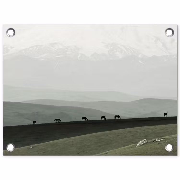Tuinposter - Grijs - Berg - Paarden — 1