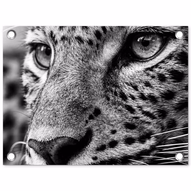Tuinposter - Luipaard - Zwart - Wit - Oog — 1