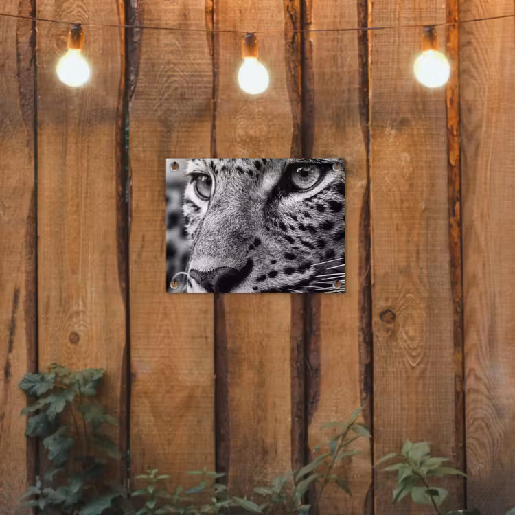 Tuinposter - Luipaard - Zwart - Wit - Oog — 2