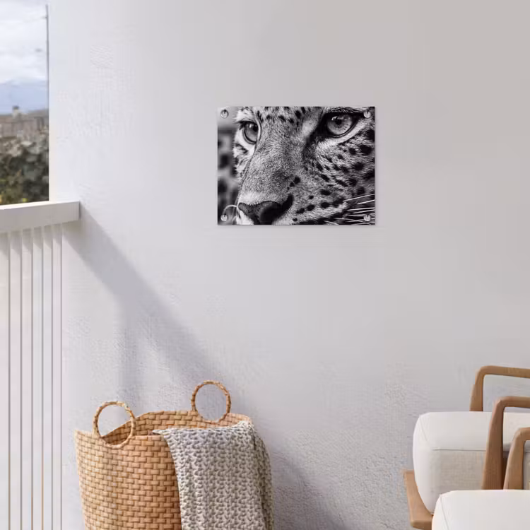 Tuinposter - Luipaard - Zwart - Wit - Oog — 3